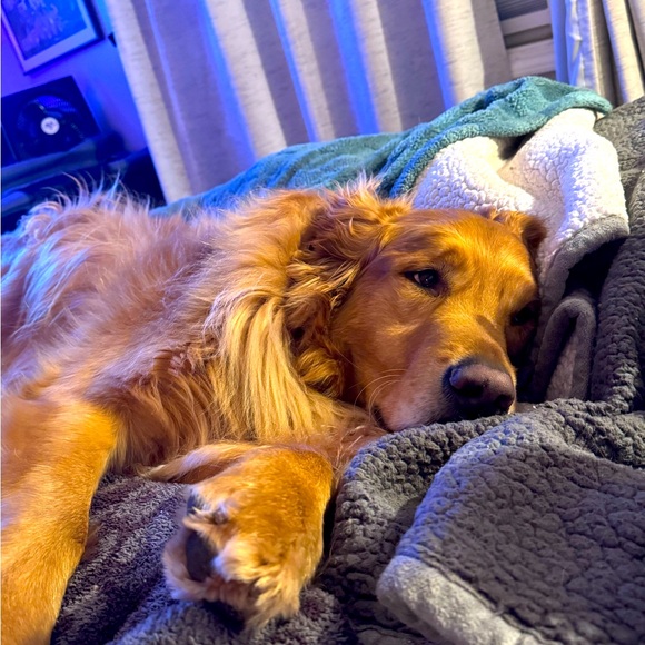 Meet your Posher, Jennifer - Picture 1 of 1